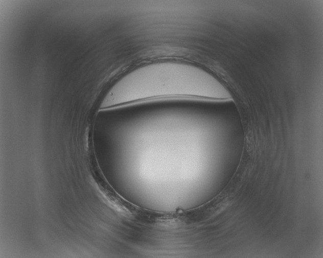 X0000051870454200506241032