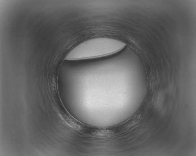 X0000051870459200506241033