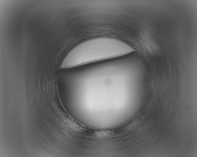 X0000051870461200506241033