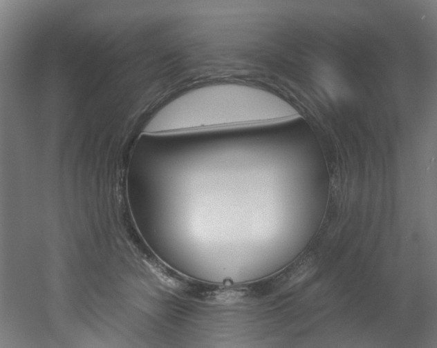 X0000051870462200506241033