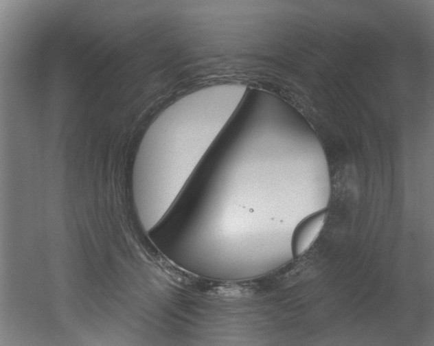 X0000051870464200506241033