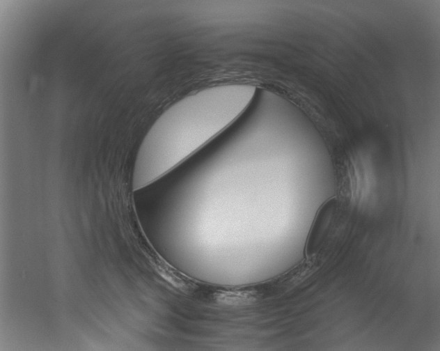 X0000051870465200506241033