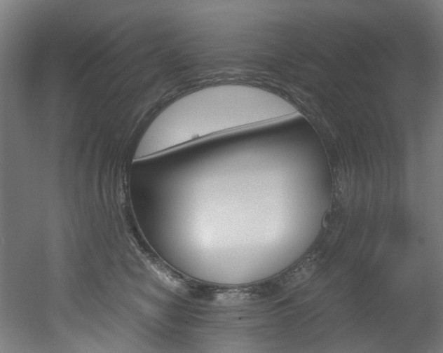 X0000051870470200506241033