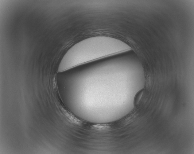 X0000051870477200506241033