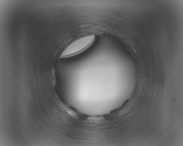 X0000051870480200506241033