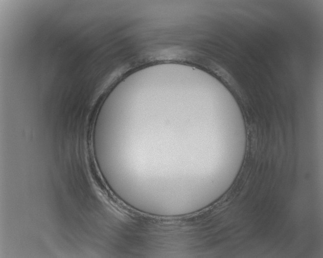 X0000051870482200506241032