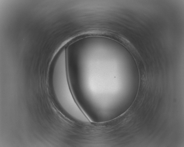 X0000051870484200506241032