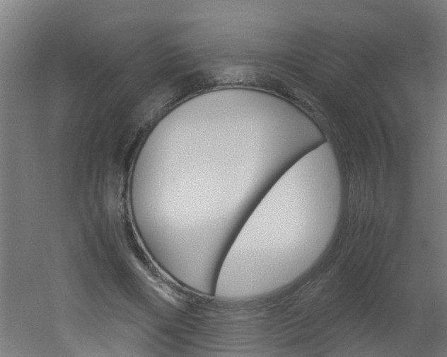 X0000051870490200506241032