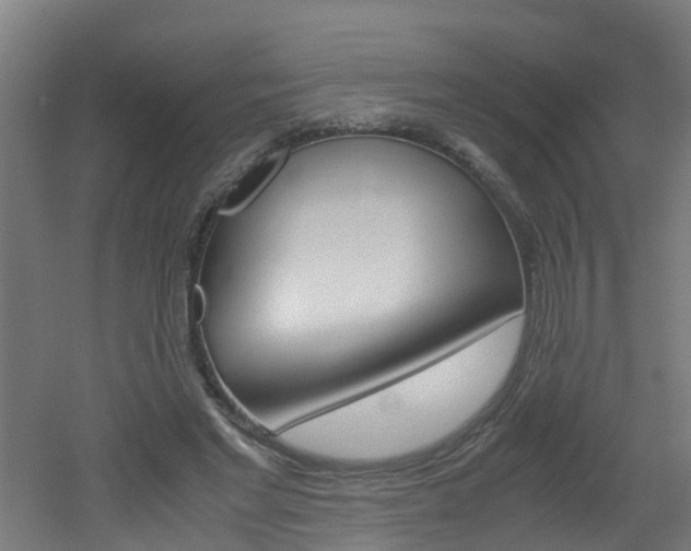 X0000051870493200506241032