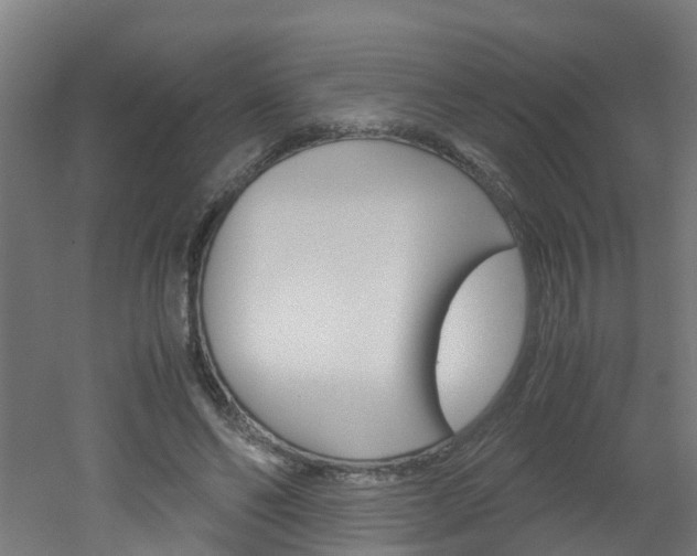 X0000051870494200506241032