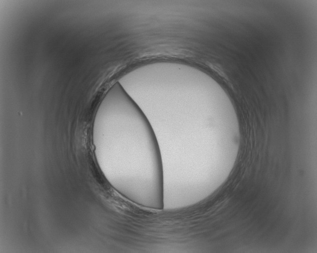 X0000051870495200506241032