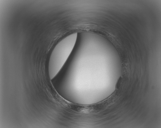 X0000051870504200506241032