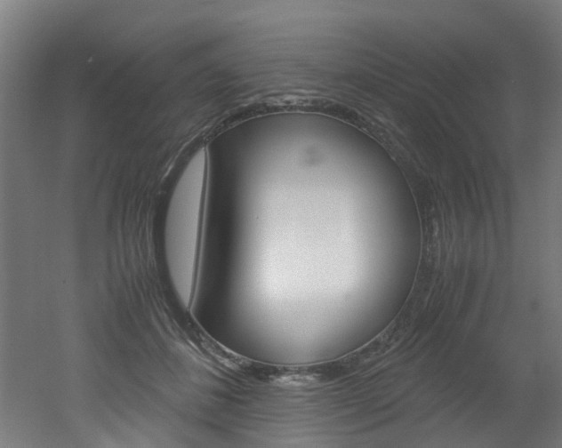 X0000051870508200506241032