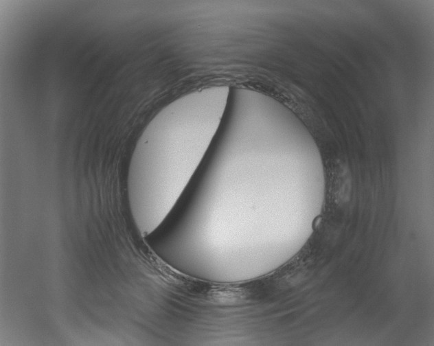 X0000051870510200506241032