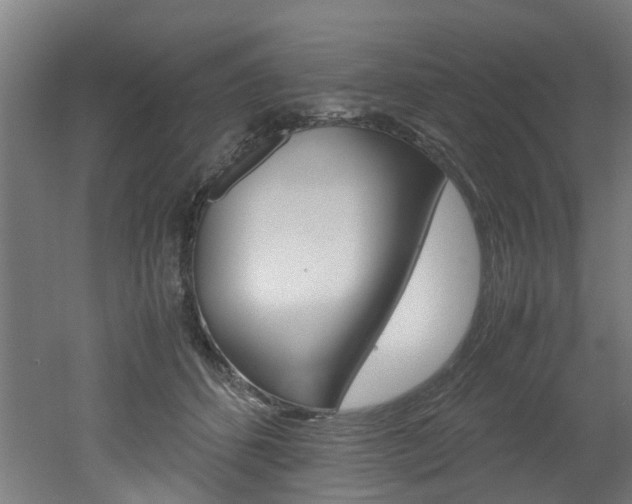 X0000051870512200506241032