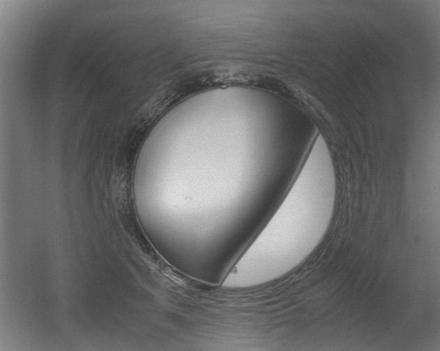 X0000051870513200506241032