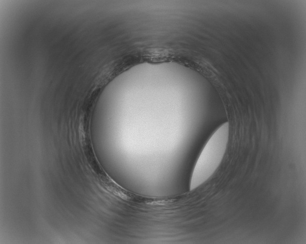 X0000051870516200506241031