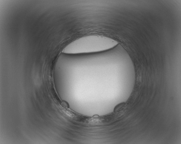 X0000051870518200506241031