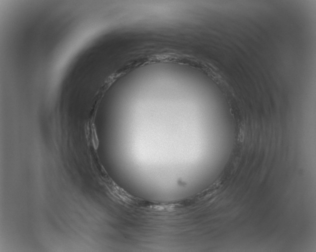 X0000051870524200506241031