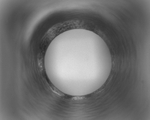 X0000051870526200506241031