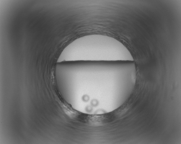 X0000051870527200506241031