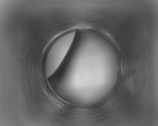 X0000051870531200506241031