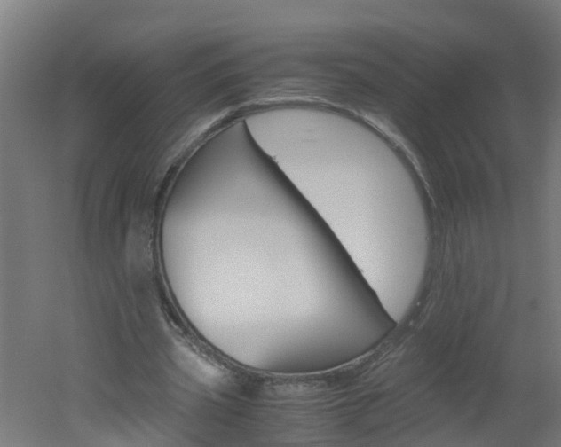 X0000051870533200506241031