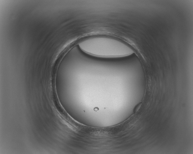 X0000051870535200506241031