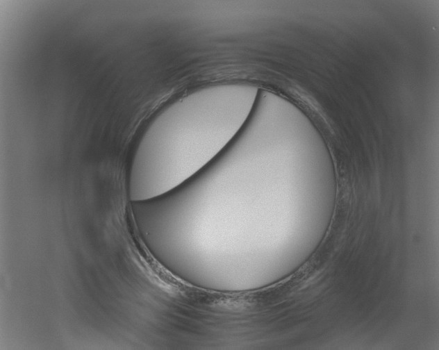 X0000051870537200506241031