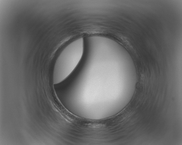 X0000051870539200506241031