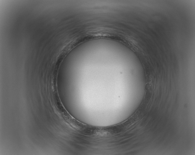 X0000051870547200506241031