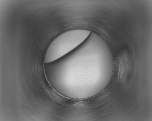 X0000051870550200506241031
