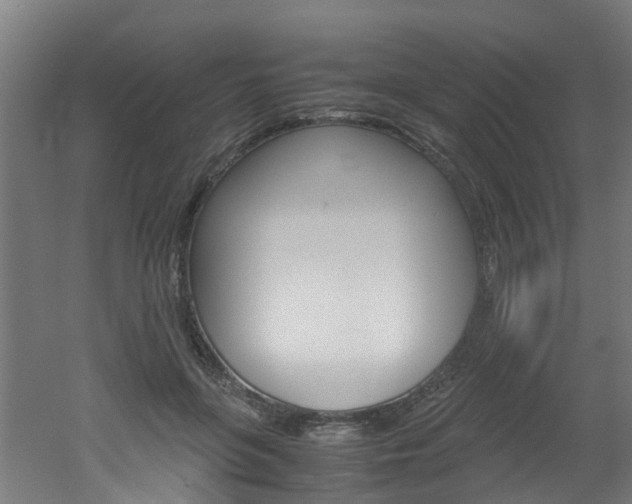 X0000051870551200506241031