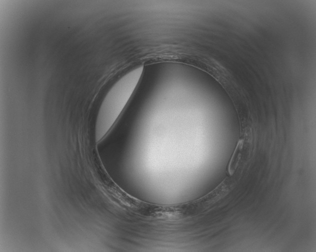 X0000051870552200506241031