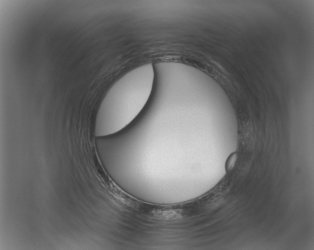 X0000051870553200506241031