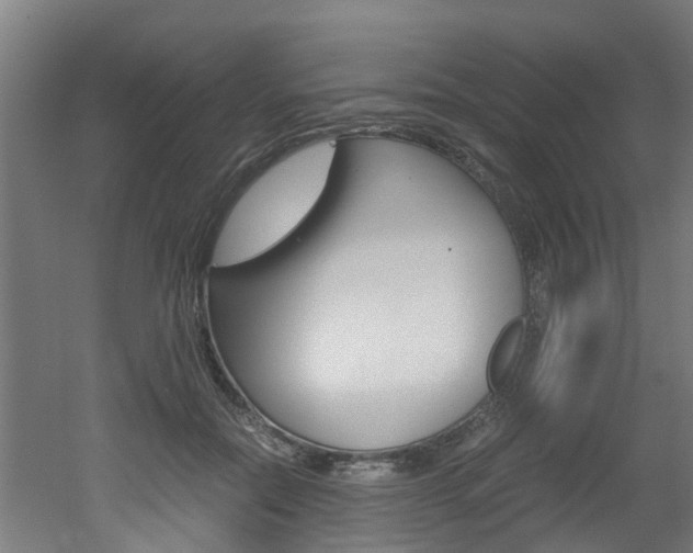 X0000051870554200506241031