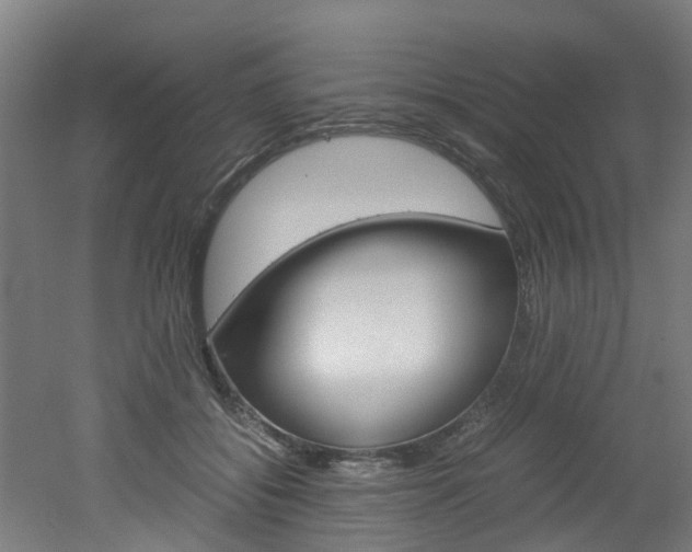 X0000051870556200506241031