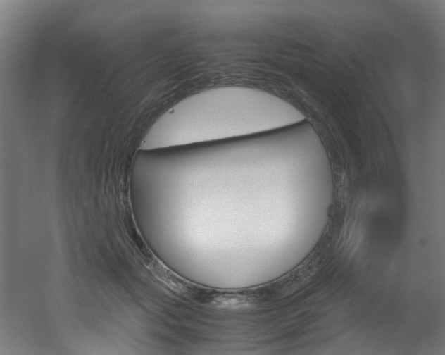 X0000051870557200506241031