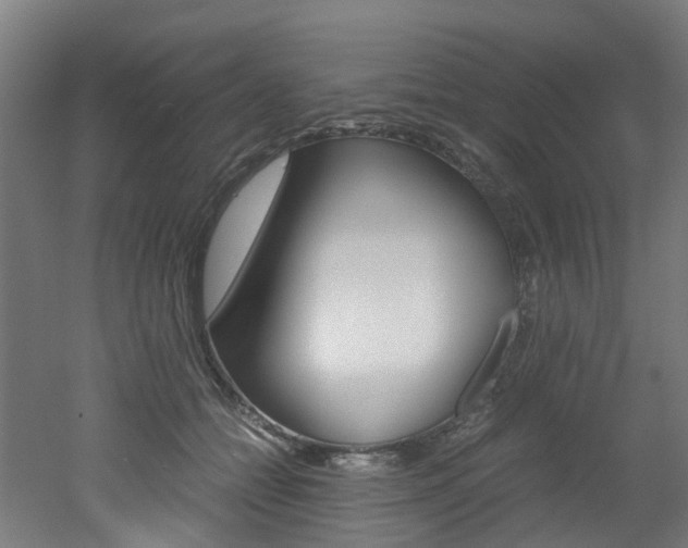 X0000051870558200506241031