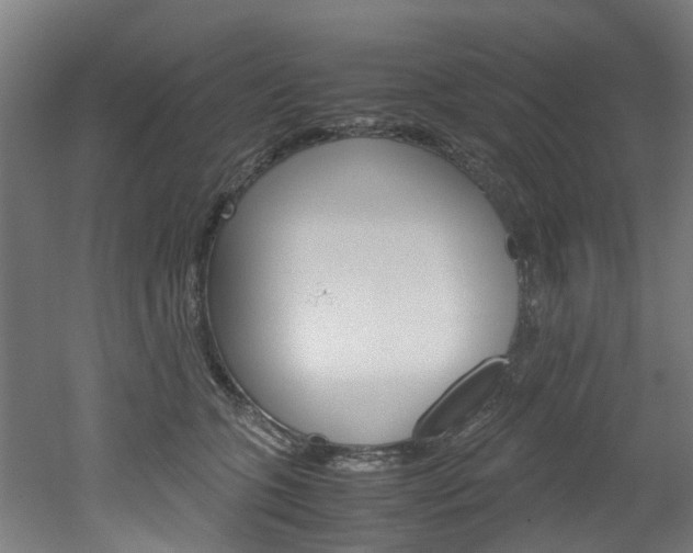 X0000051870563200506241031