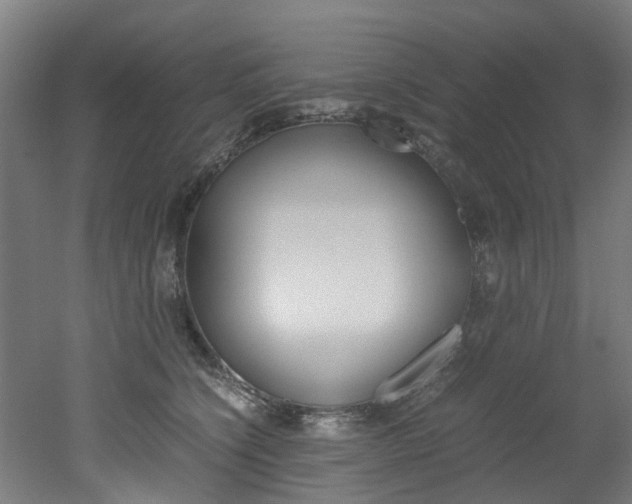 X0000051870564200506241031