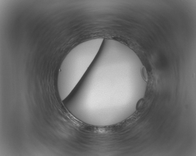 X0000051870565200506241031