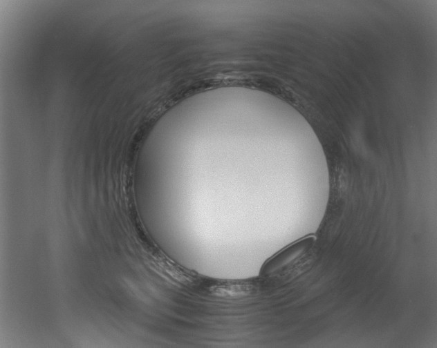 X0000051870567200506241031