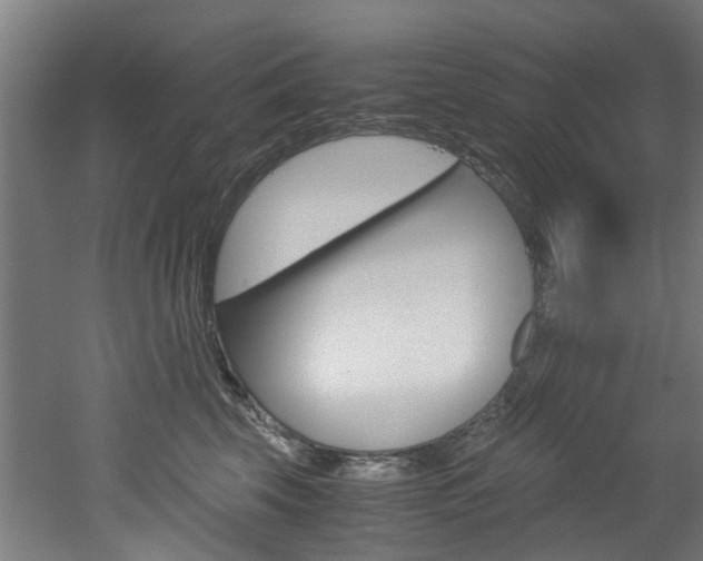 X0000051870569200506241031