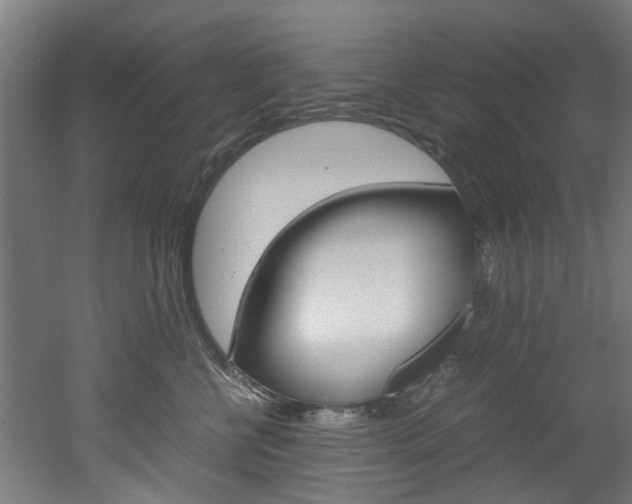 X0000051870570200506241031
