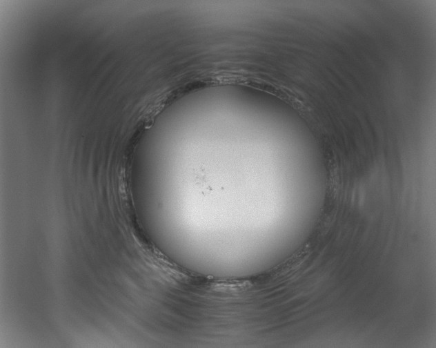 X0000051870571200506241031
