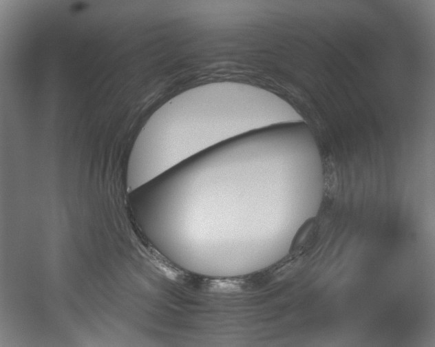 X0000051870573200506241031