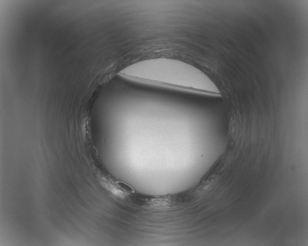 X0000051870574200506241031