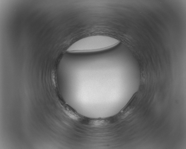 X0000051870575200506241031