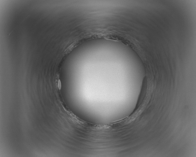 X0000051870576200506241031